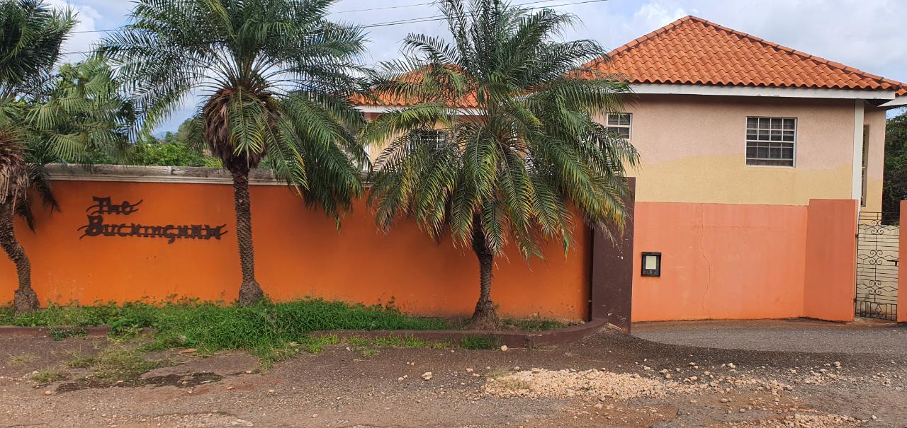 Apartment for Rent   Kingston 19
