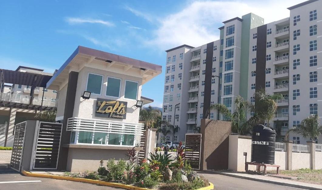Apartment for Rent   Kingston 6