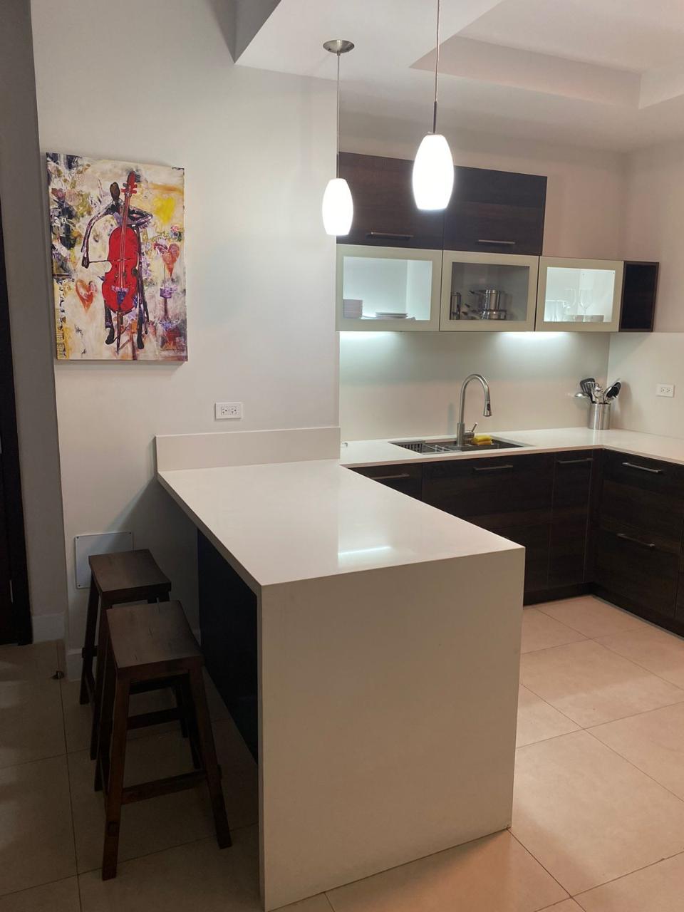 Apartment for Rent   Kingston 8