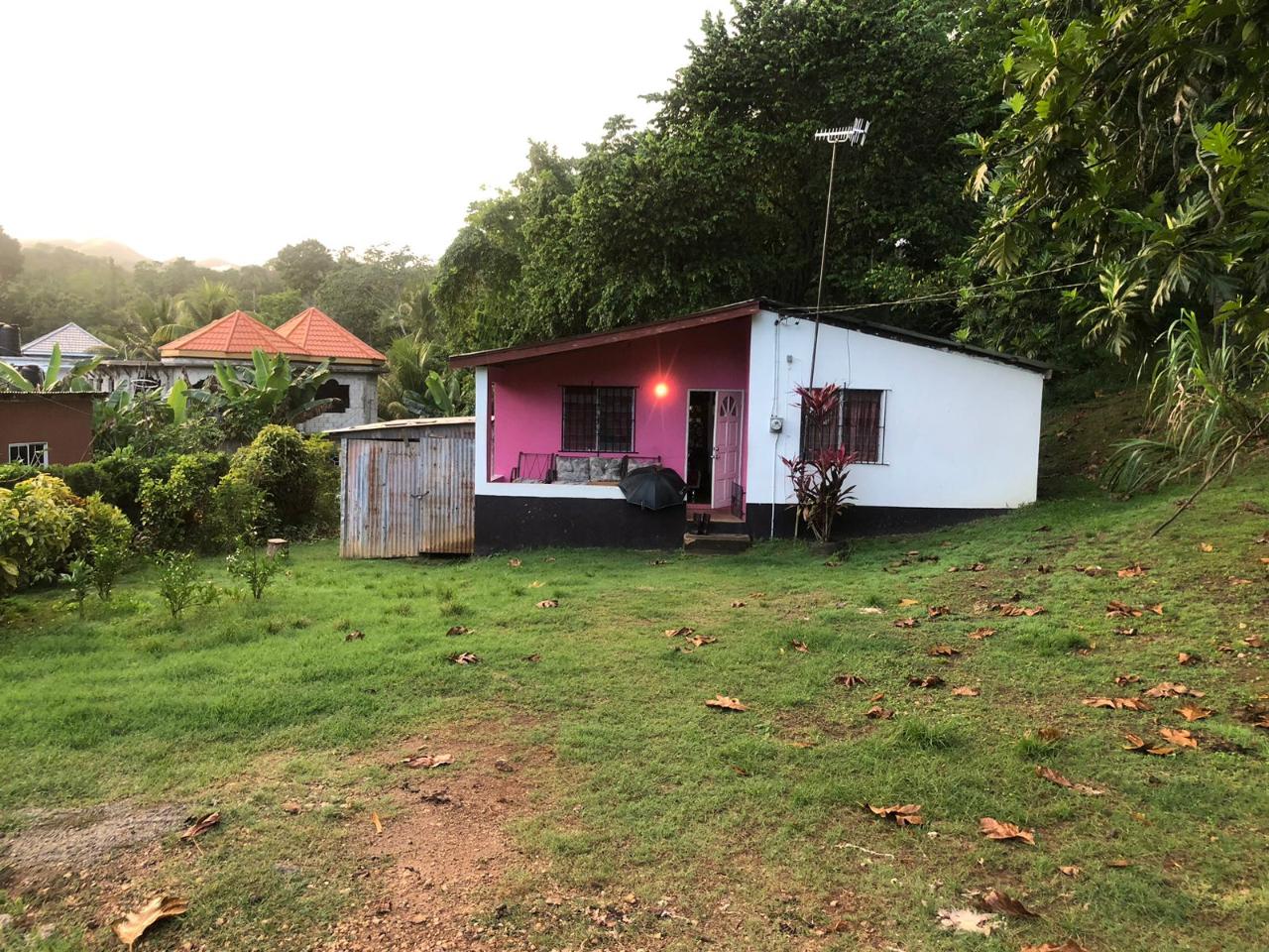 House for Sale   Linstead