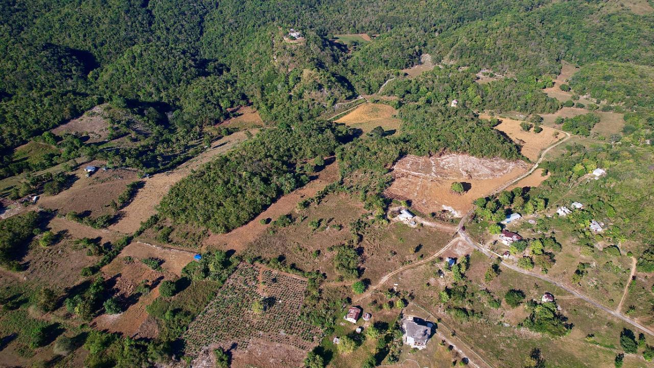 House for Sale   Black River