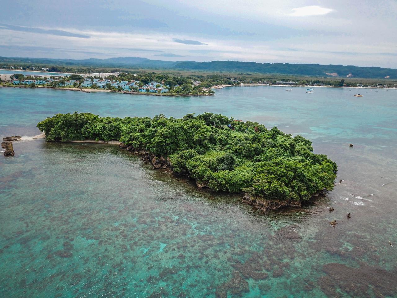 Resort Apartment/Villa for Sale   Negril