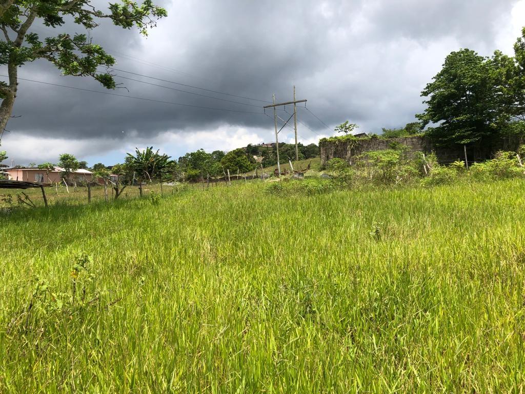 House for Sale Mandeville