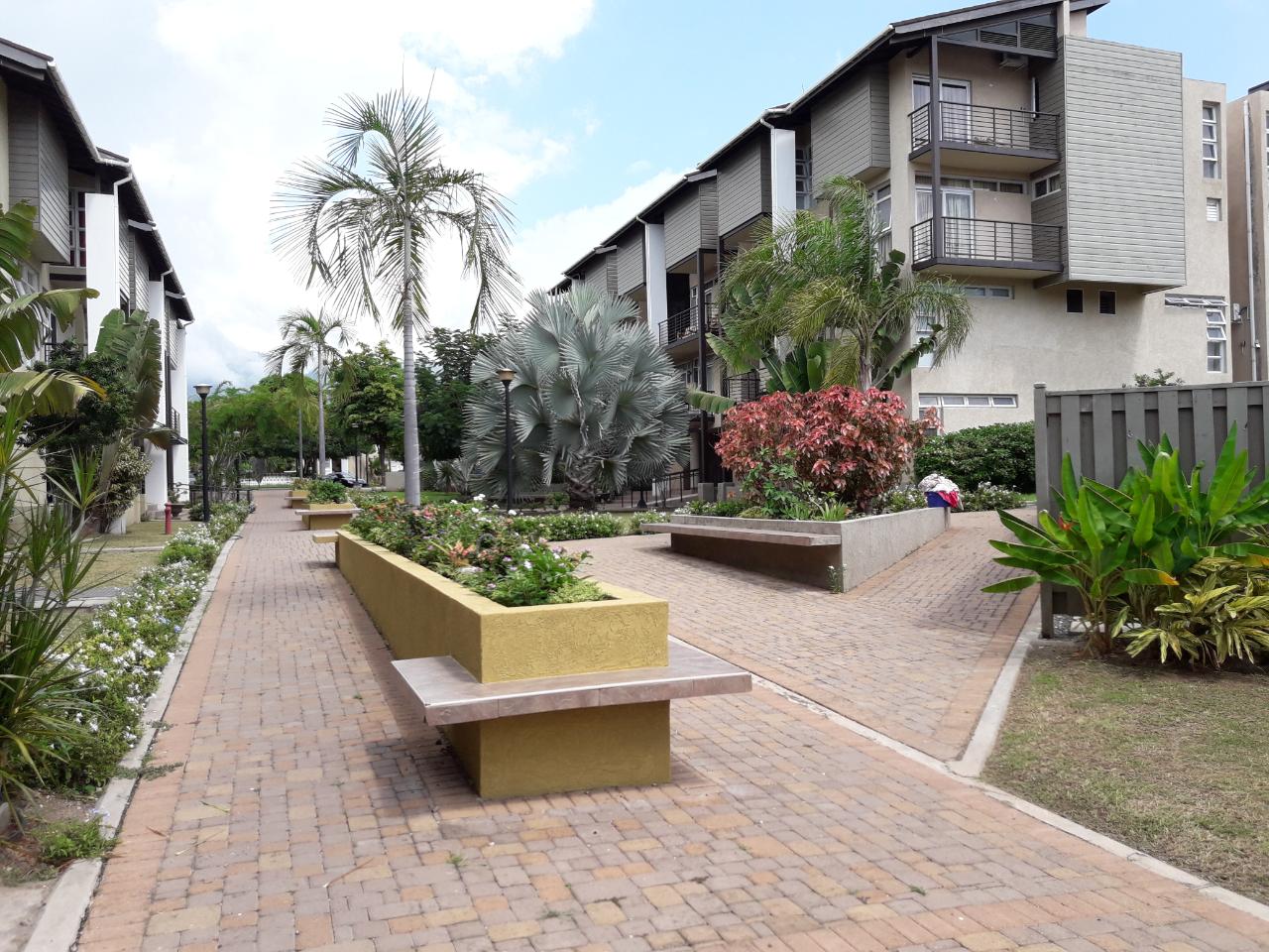 Apartment for Rent   Kingston 6
