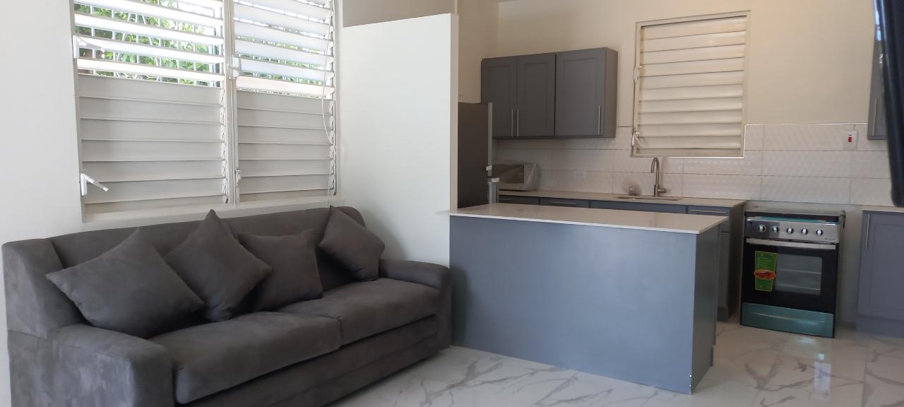 Apartment for Rent   Kingston 6