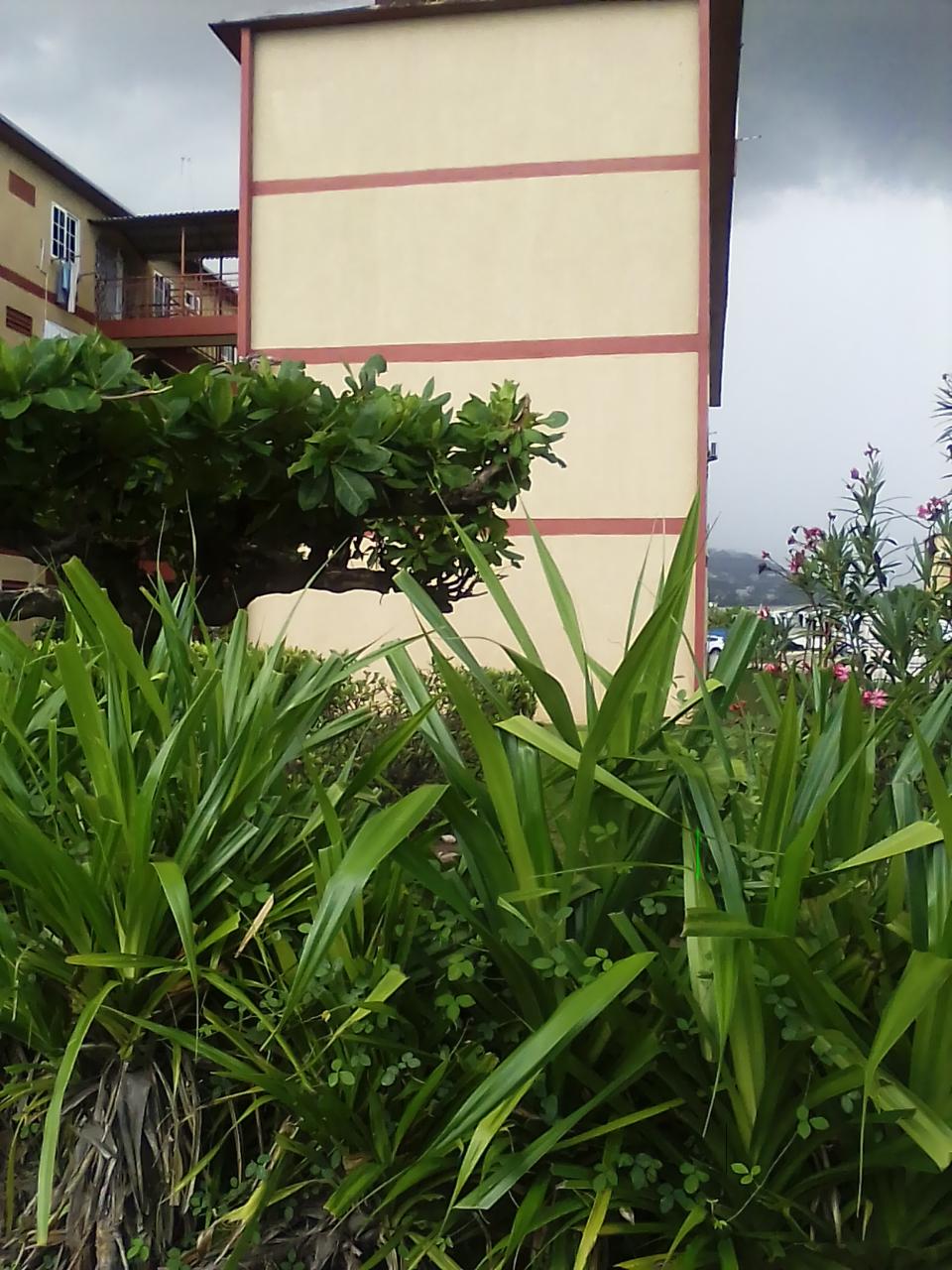 Apartment for Sale   Kingston 20