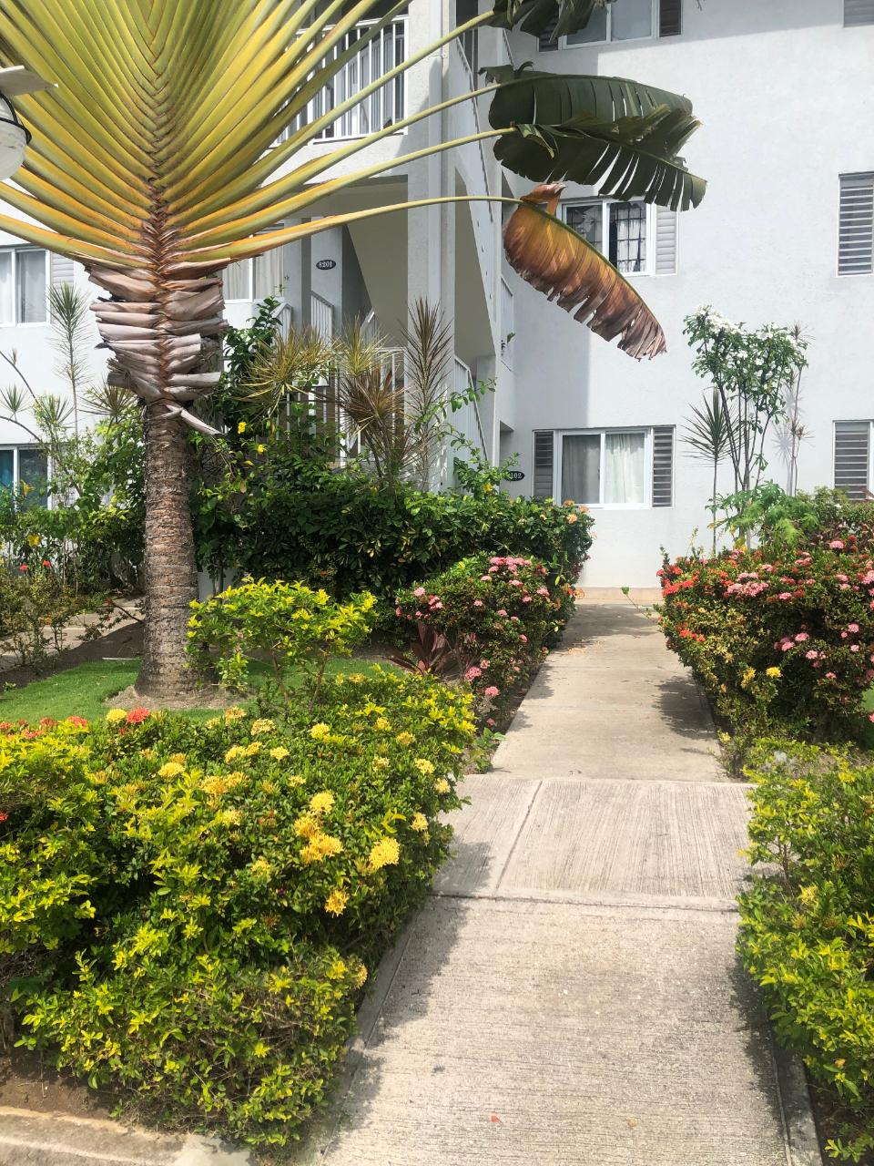 Apartment for Rent   St. Ann's Bay