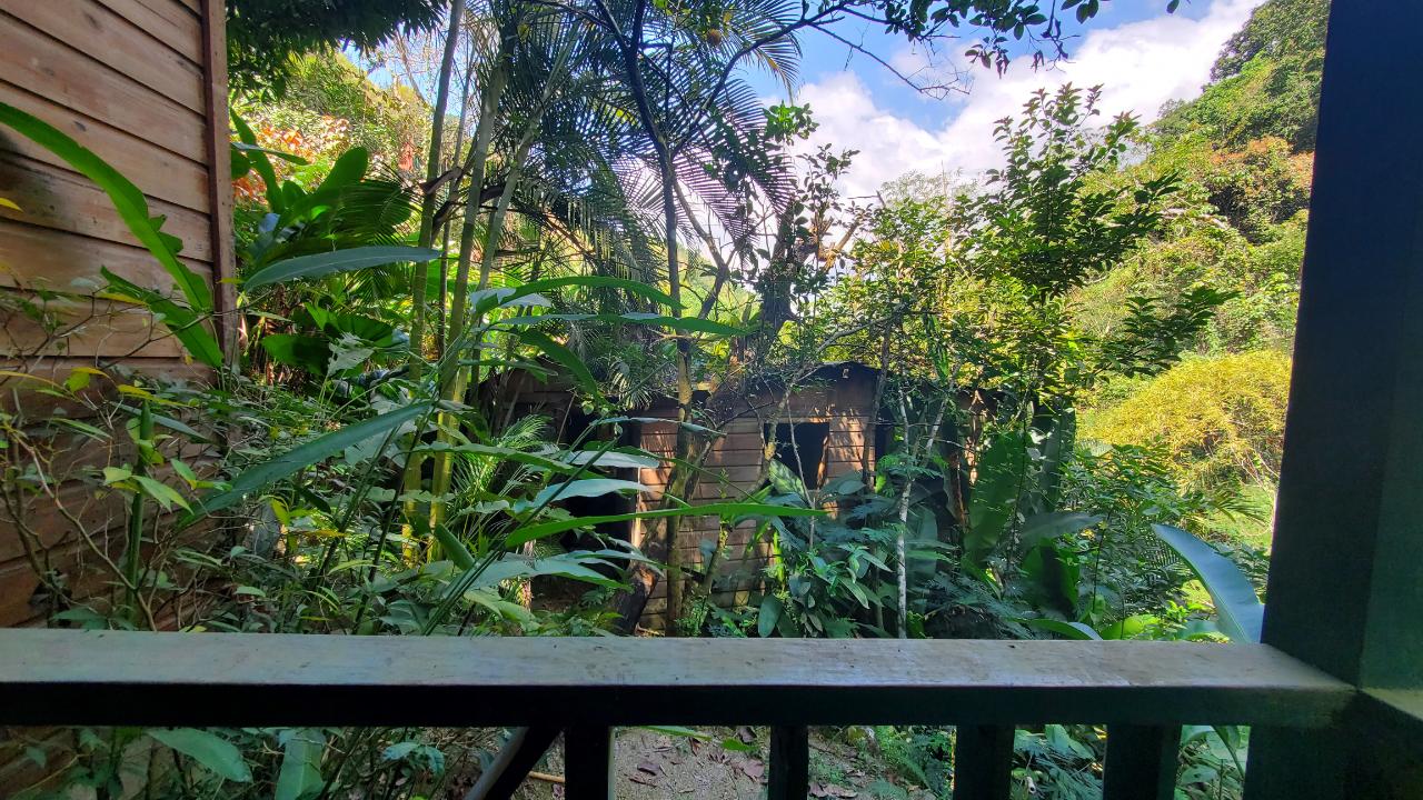 House for Sale   Gordon Town