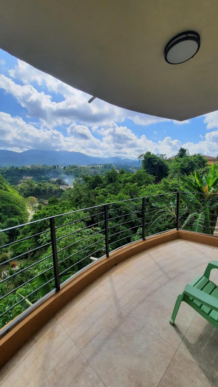 House for Rent   STONY HILL