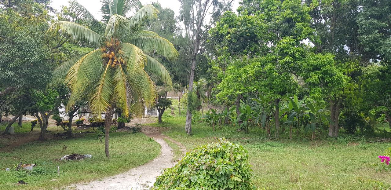 House for Sale   Shefeild
