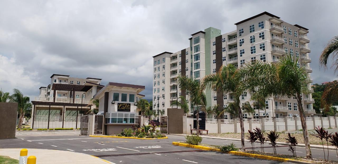 Apartment for Rent   Kingston 6