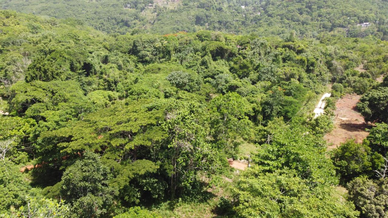 Development Land (Residential) for Sale   Discovery Bay