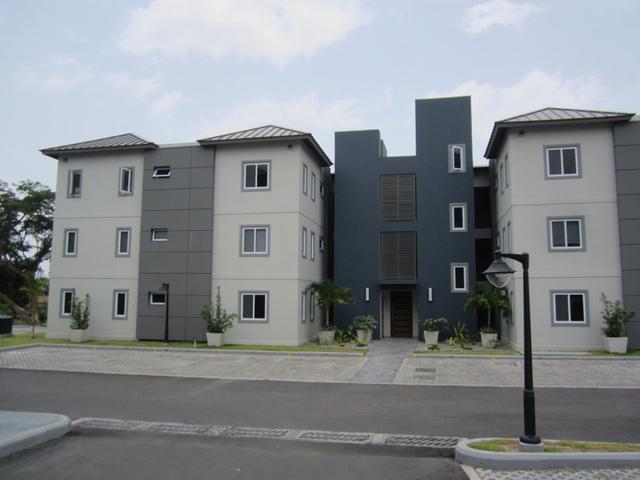 Apartment for Rent   Kingston 8