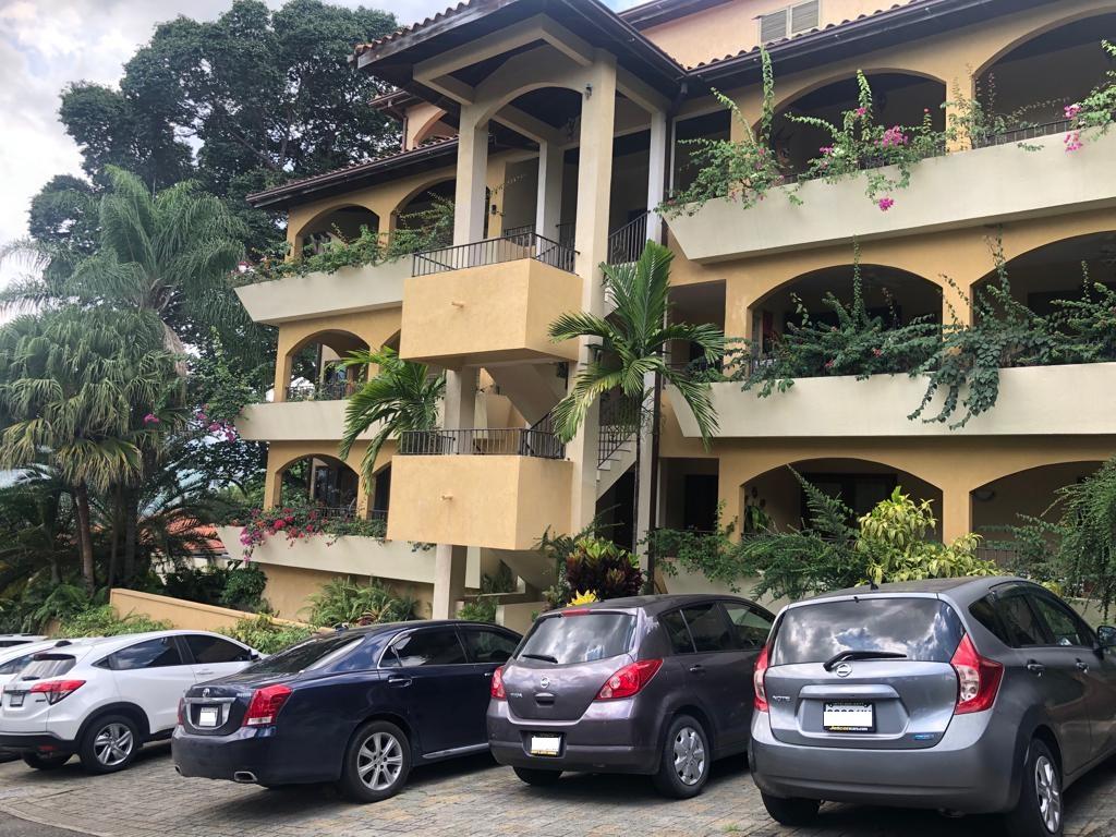 Apartment for Rent   Kingston 6