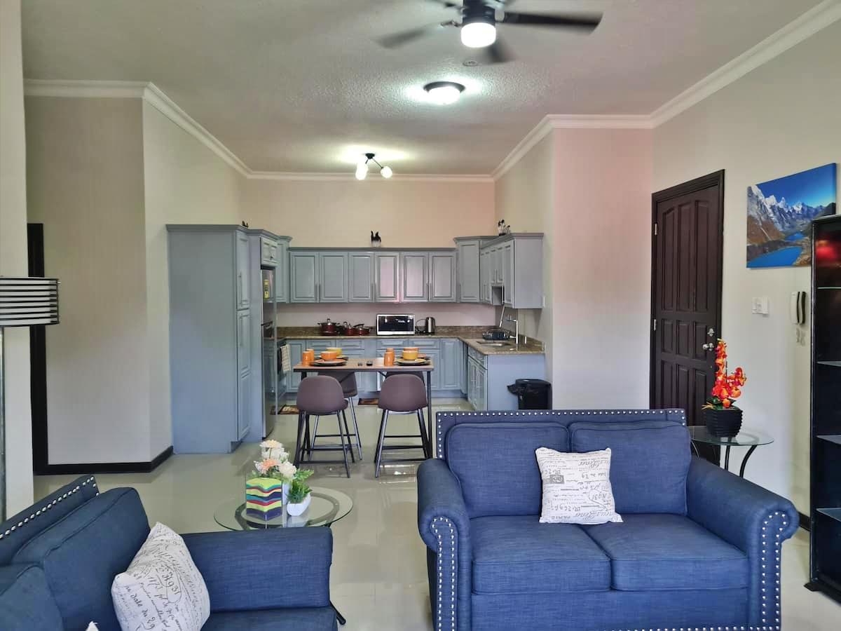 Apartment for Rent   Kingston 8