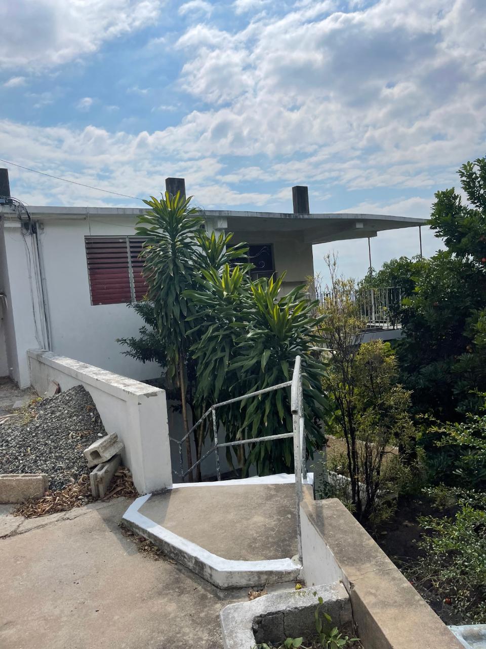 Apartment for Rent   Kingston 6