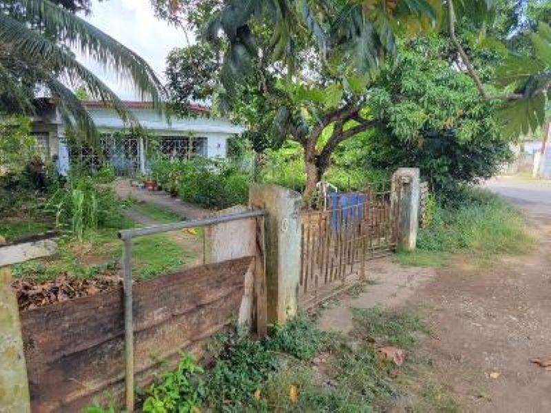 House for Sale   Linstead