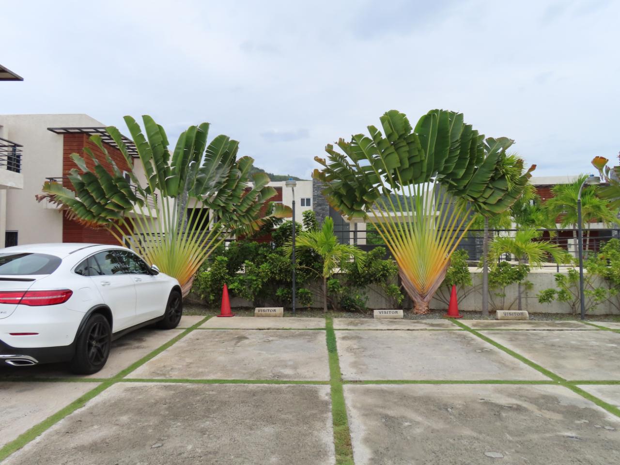 Apartment for Sale   Kingston 8