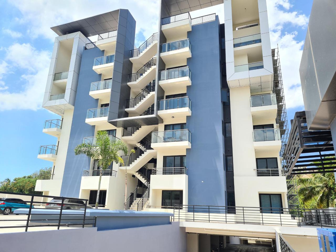 Apartment for Rent   Kingston 6