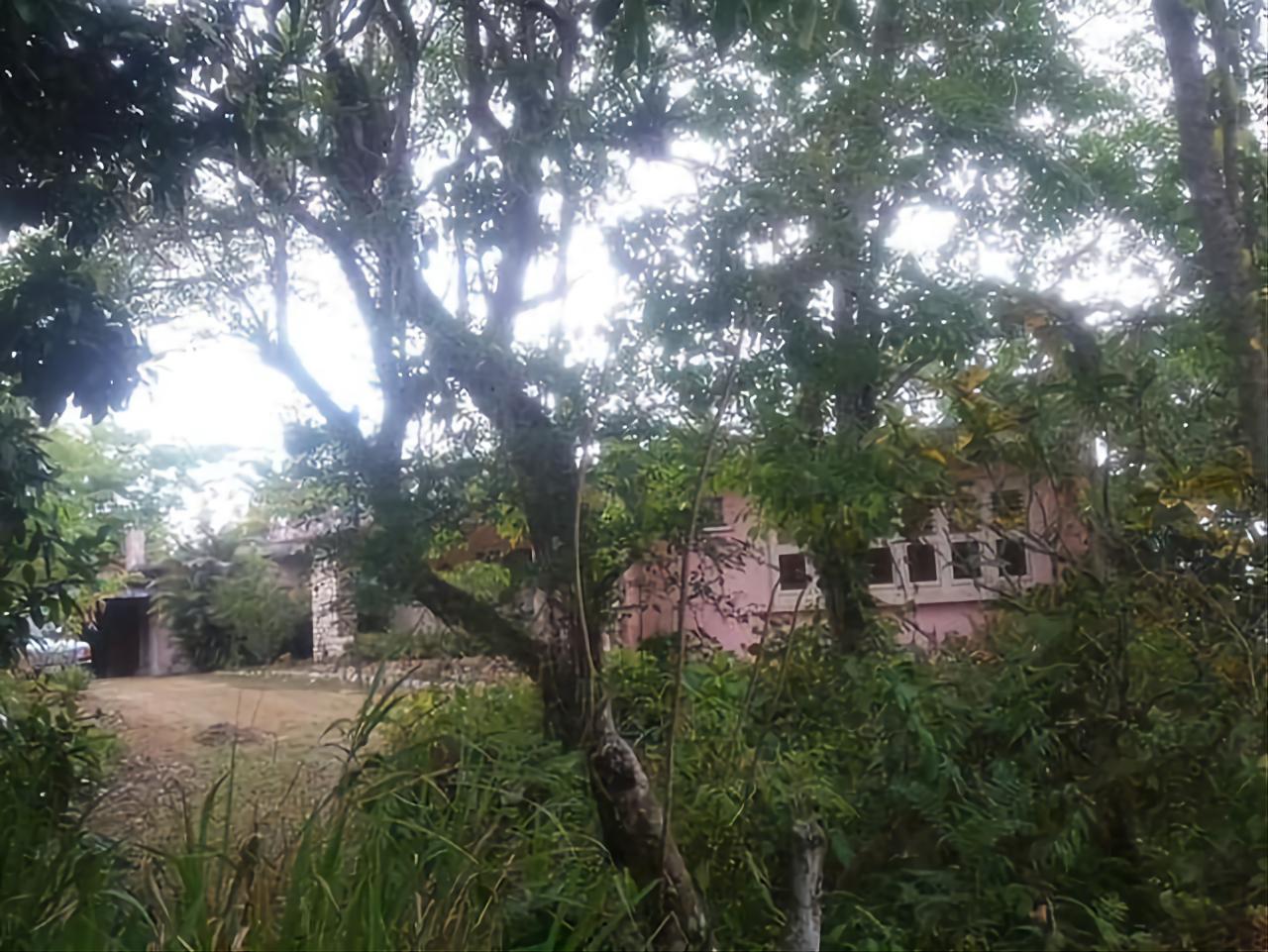 House for Sale   Red Hills
