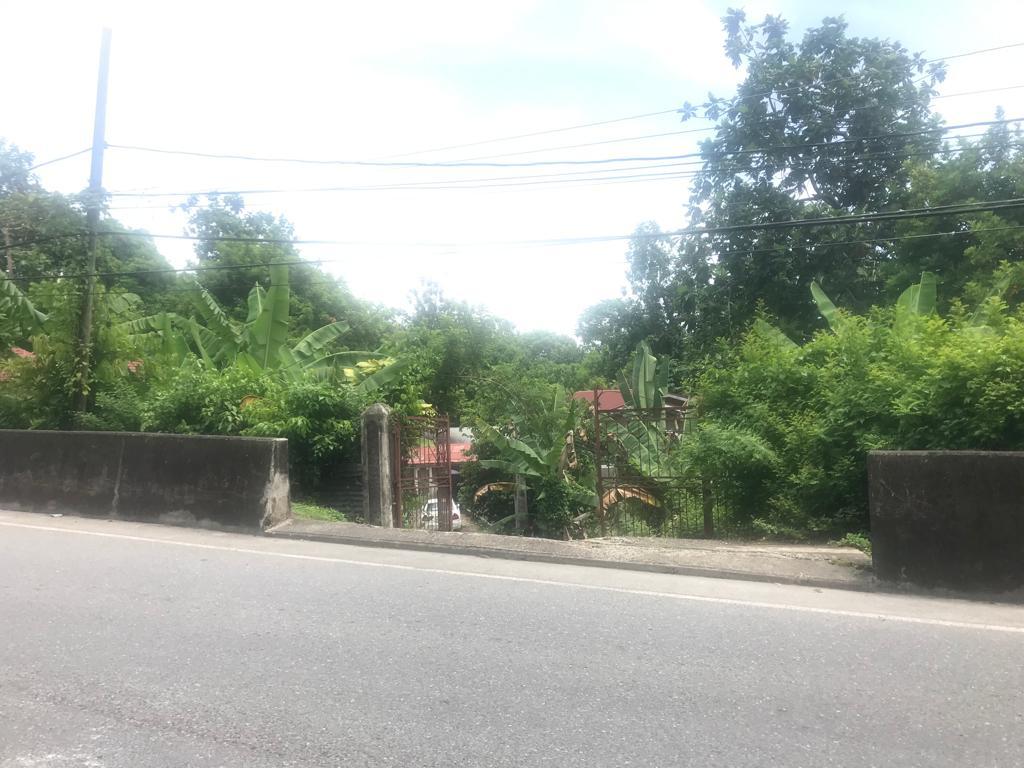 House for Sale   Port Antonio