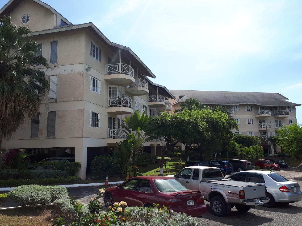 Apartment for Rent   Kingston 8