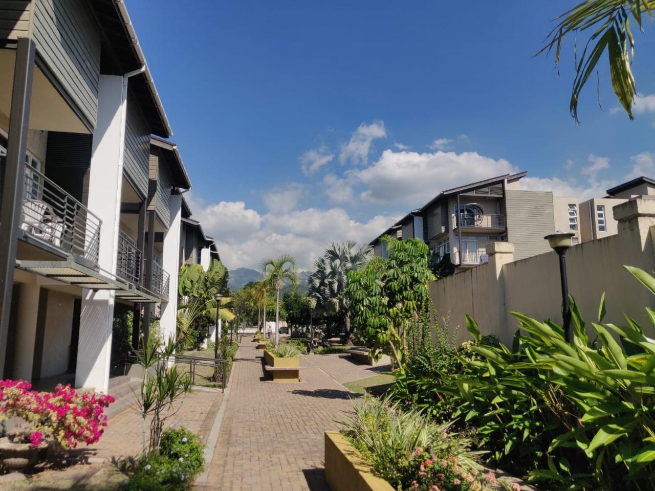 Apartment for Rent   Kingston 4