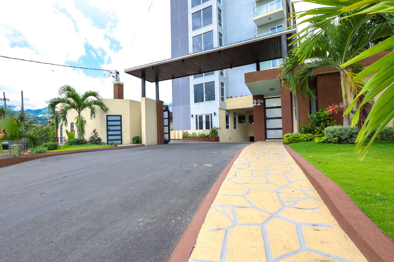 Apartment for Rent   Kingston 6