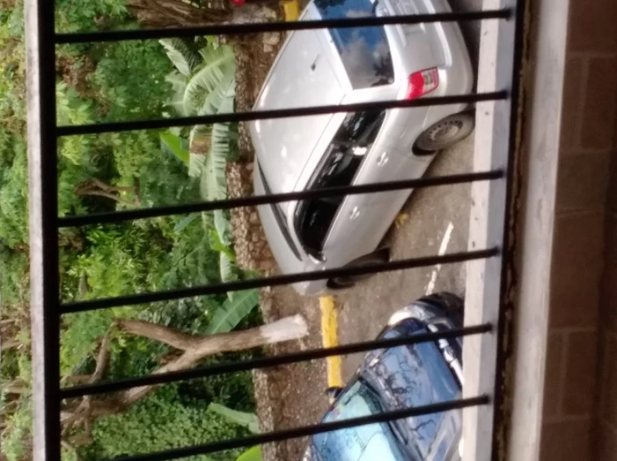 Toyota Fielder 2010