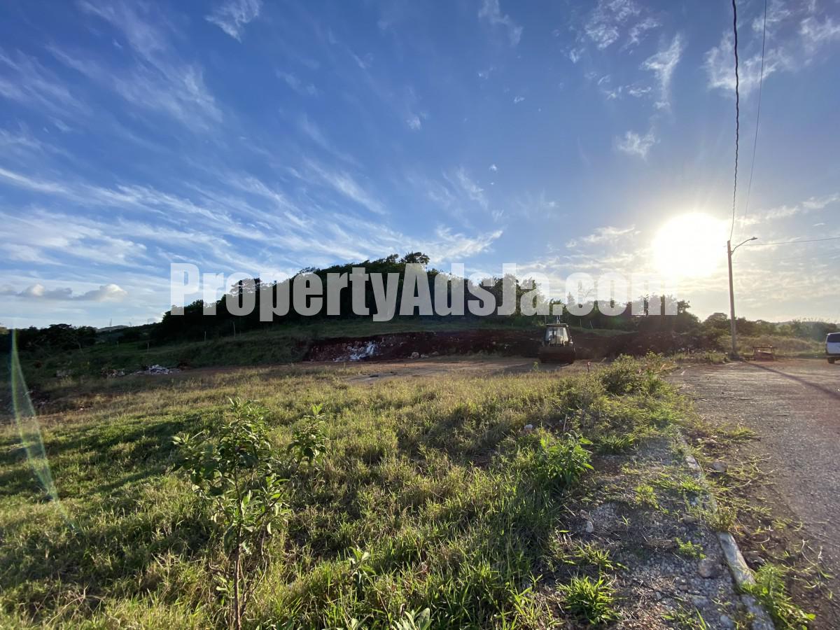 Land For Sale in Daleys grove, Manchester, Jamaica