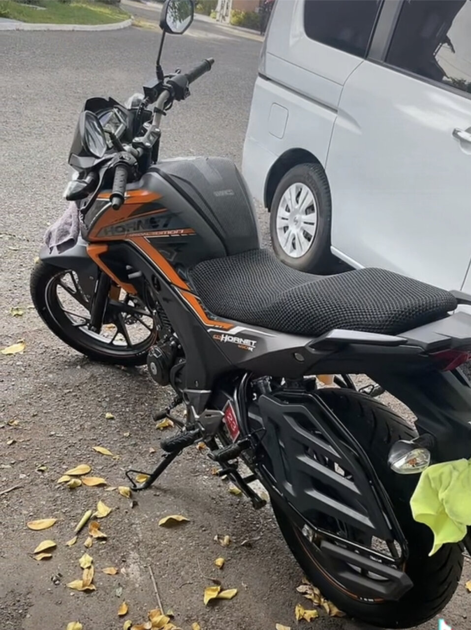 For Sale: HONDA HORNETS