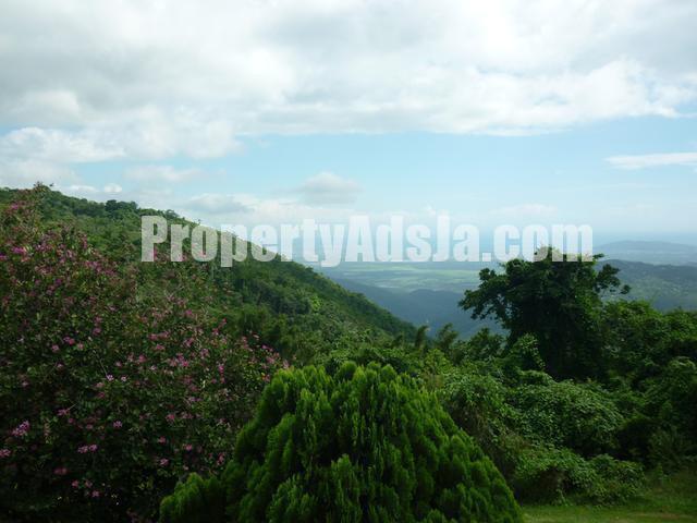 Land For Sale in Sligoville, St. Catherine, Jamaica