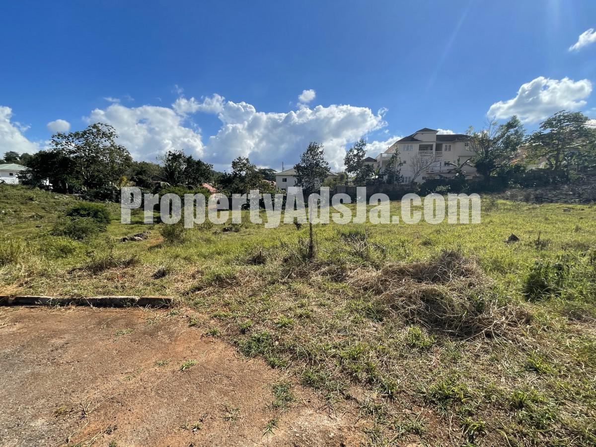 Residential lot For Sale in Cedar Grove, Manchester, Jamaica