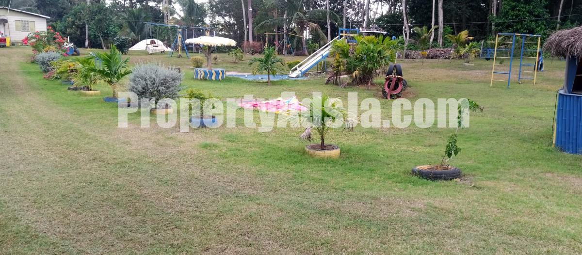 Land For Sale in Grange Hill, Westmoreland, Jamaica