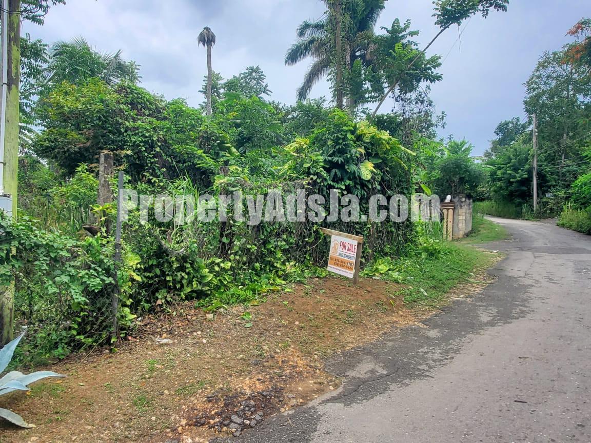 Residential lot For Sale in Three Courts Retreat, St. Mary, Jamaica