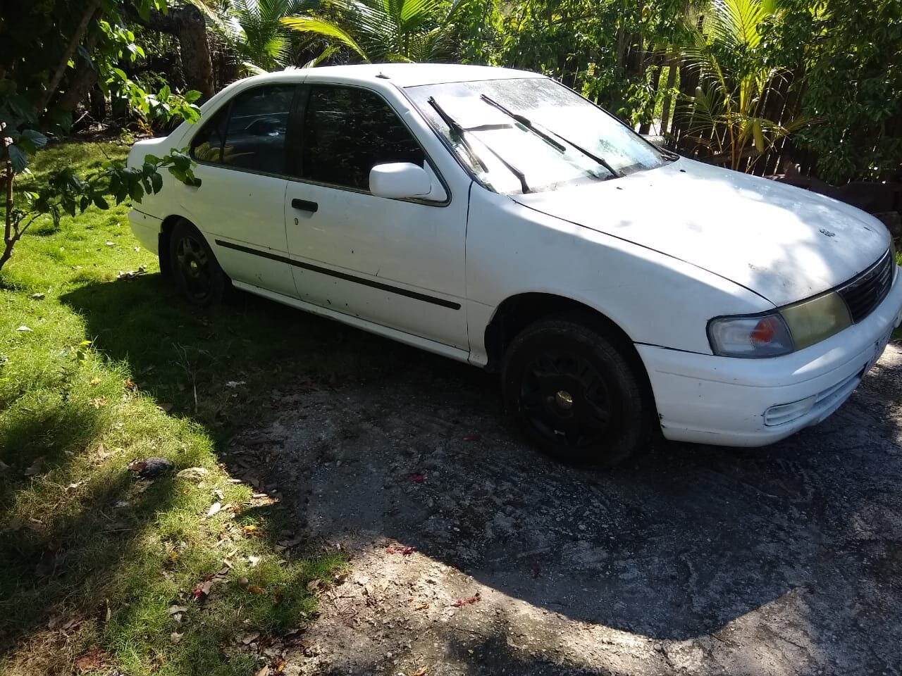 For Sale: Nissan Sunny B15