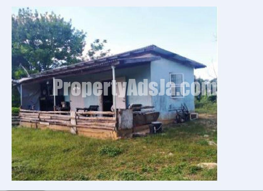 Land For Sale in Bogue, St. Elizabeth, Jamaica