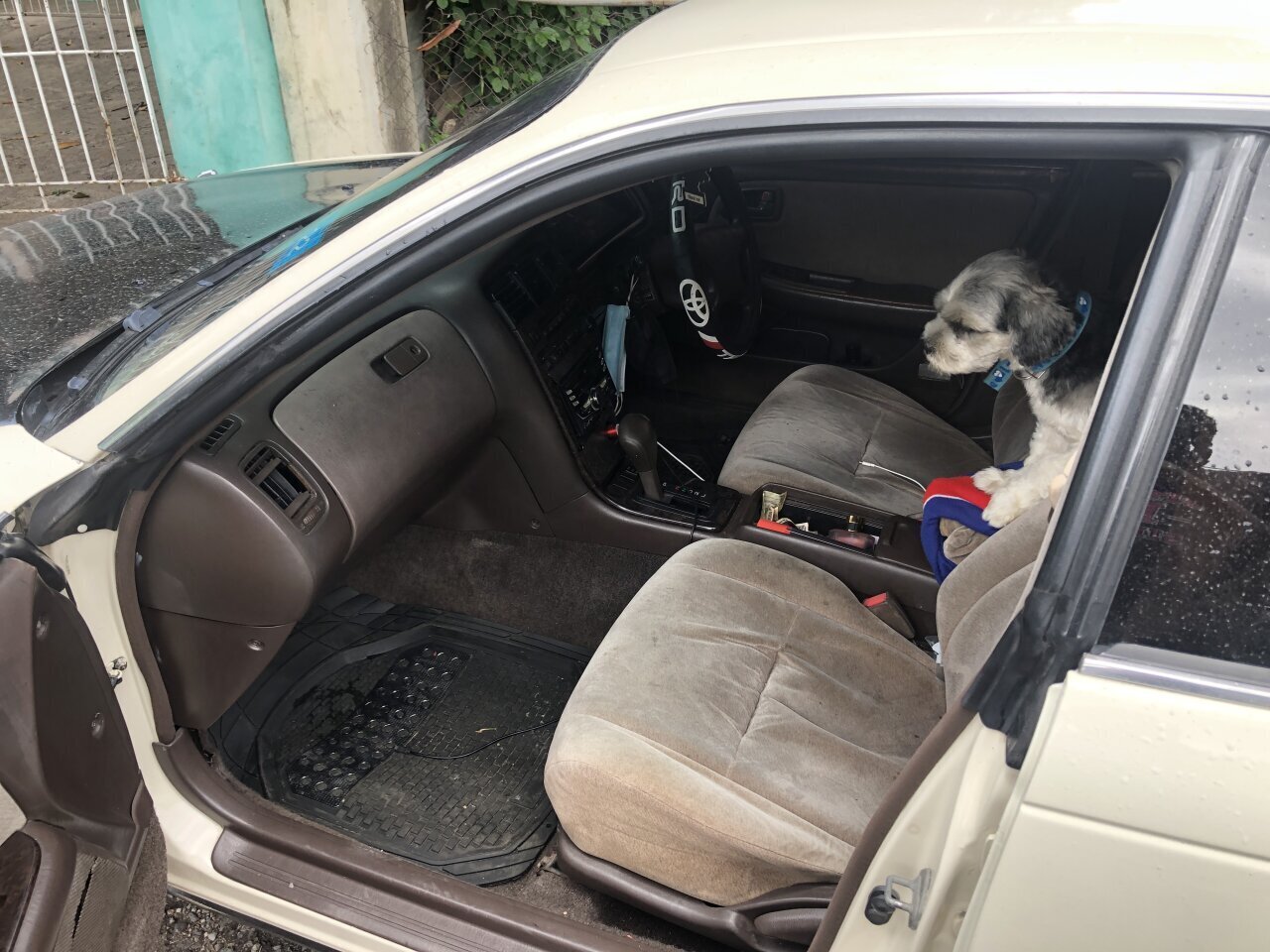 For Sale: Toyota Mark 2