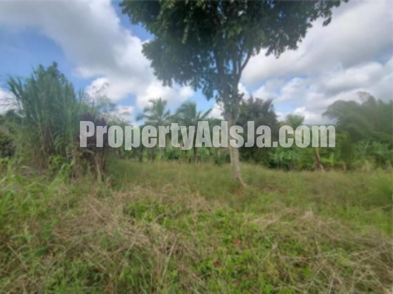Land For Sale in Jeffrey Town, St. Mary, Jamaica