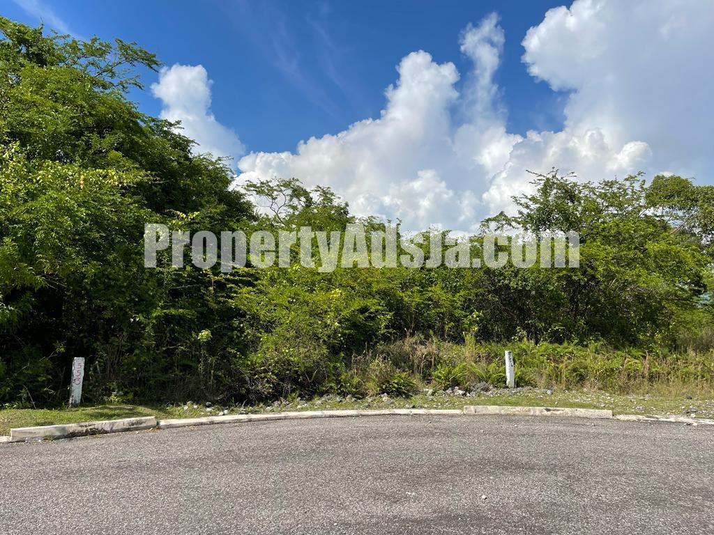 Land For Sale in Lacovia, St. Elizabeth, Jamaica