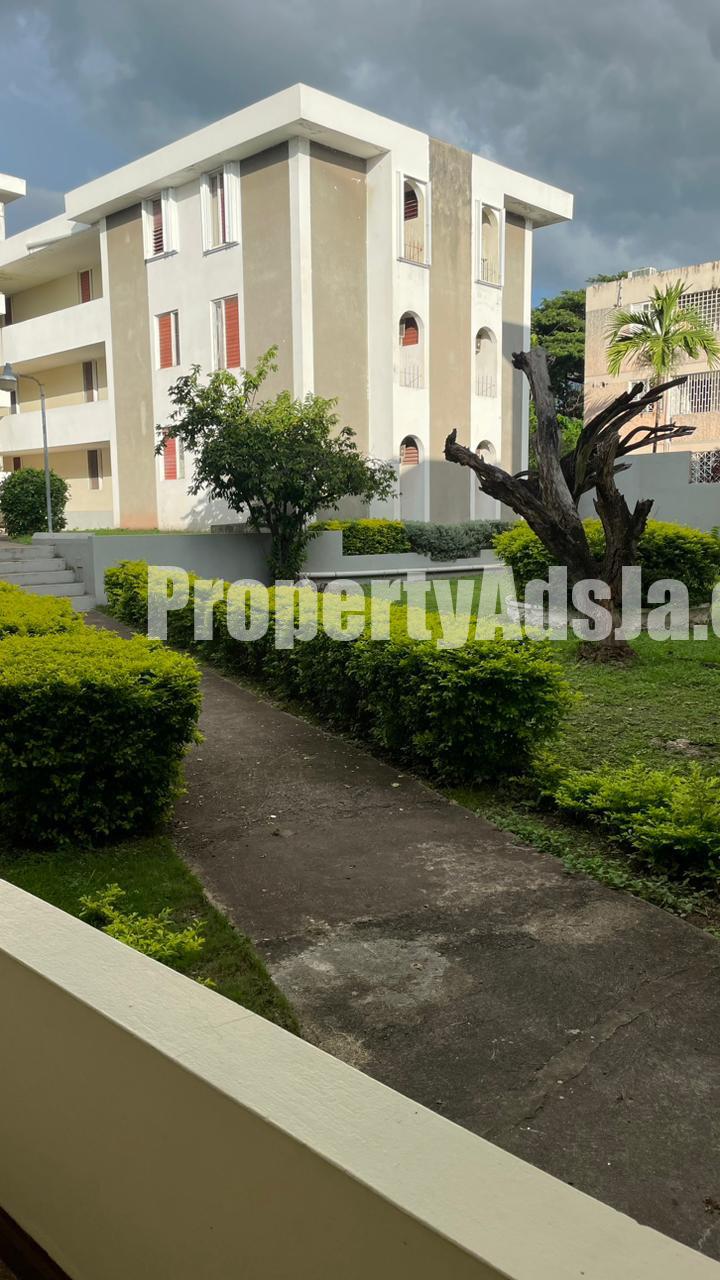 1 bed Apartment For Rent in Near the Queens High School, Kingston / St. Andrew, Jamaica