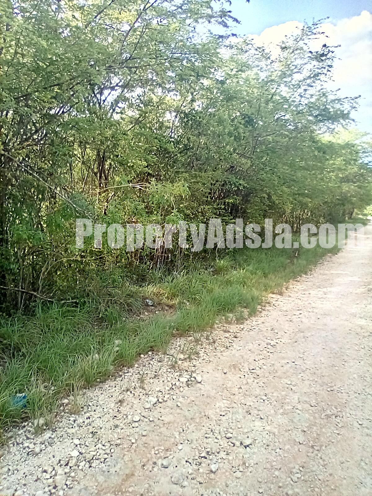 Land For Sale in Goshen, St. Elizabeth, JamaicaUnder Contract