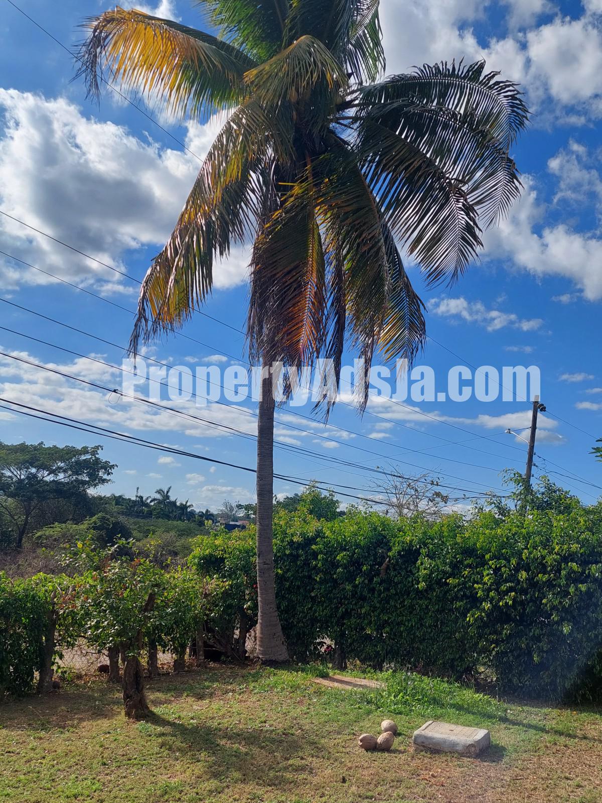 4 bed House For Sale in Trenton Road, Clarendon, Jamaica