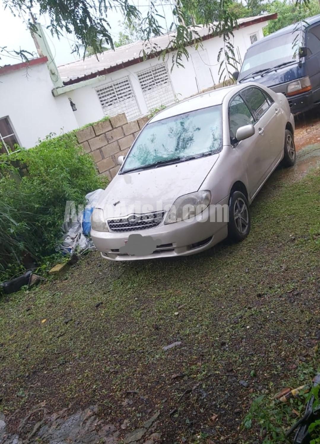 2001 Toyota Corolla kingfish